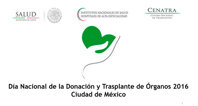 Sólo por Ayudar presente en el Día Nacional de Donación de Órganos.